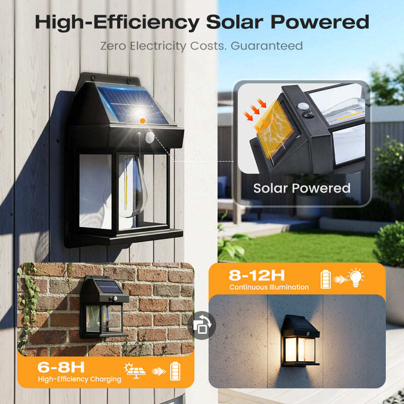 Motion Sensor & Weatherproof, Automatic Dusk to Dawn Operation, Easy Installation for Garden and Pathway