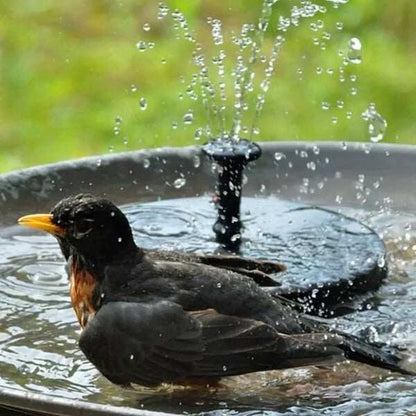 Solar-powered bird fountains