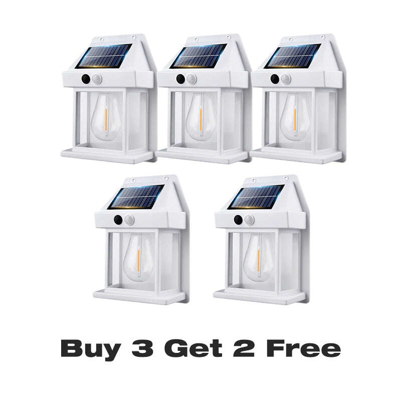 Motion Sensor & Weatherproof, Automatic Dusk to Dawn Operation, Easy Installation for Garden and Pathway