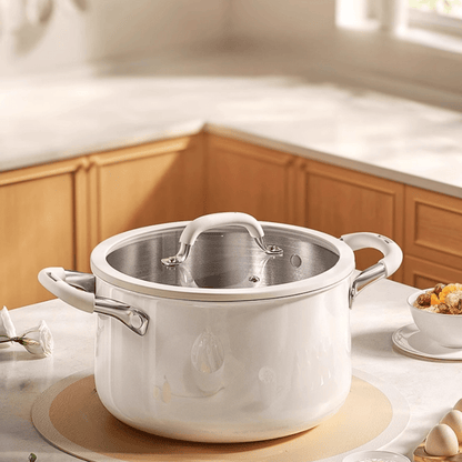 Multi-Purpose Stainless Steel Cooking Pot with Ceramic Exterior