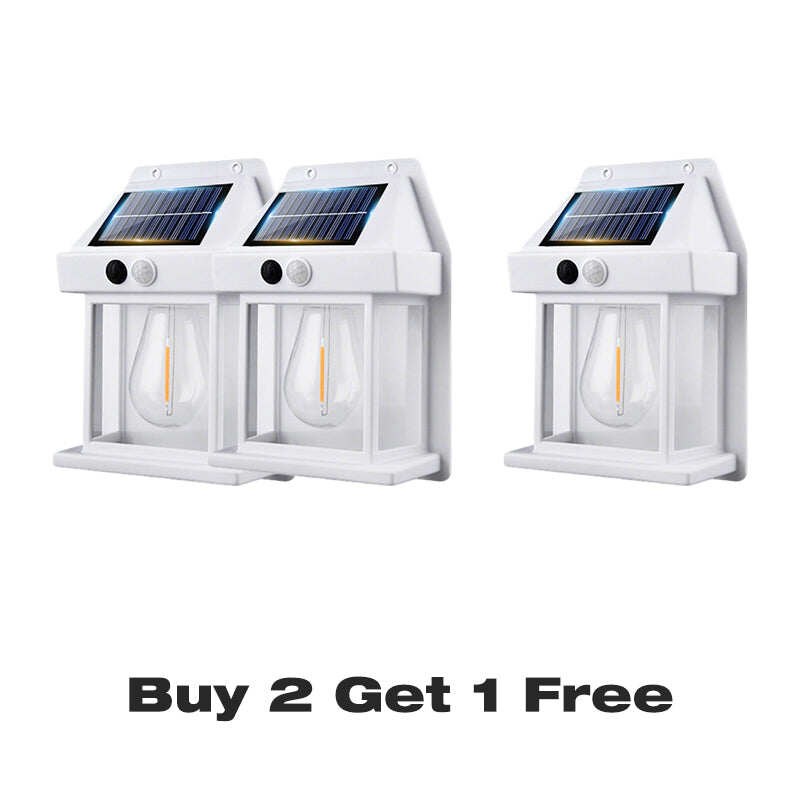 Motion Sensor & Weatherproof, Automatic Dusk to Dawn Operation, Easy Installation for Garden and Pathway