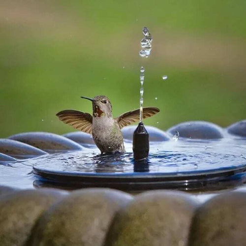 Solar-powered bird fountains