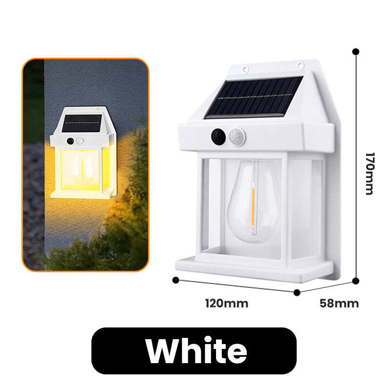 Motion Sensor & Weatherproof, Automatic Dusk to Dawn Operation, Easy Installation for Garden and Pathway